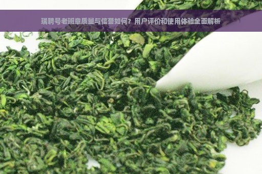 瑞聘号老班章质量与信誉如何？用户评价和使用体验全面解析