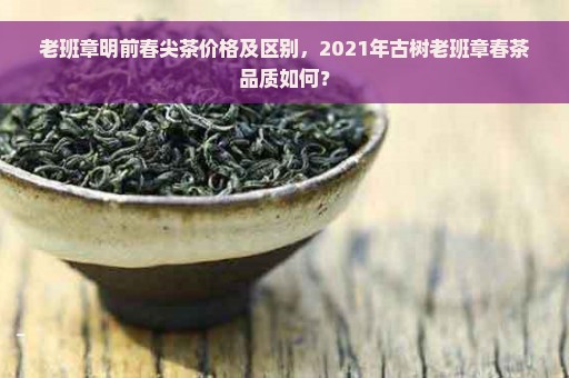 老班章明前春尖茶价格及区别，2021年古树老班章春茶品质如何？