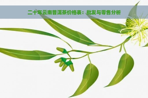 二十年云南普洱茶价格表：批发与零售分析