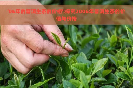 '06年的普洱生茶的价格':探究2006年普洱生茶的价值与价格