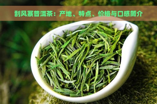 刮风寨普洱茶：产地、特点、价格与口感简介