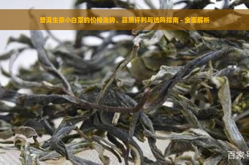 普洱生茶小白菜的价格走势、品质评判与选购指南 - 全面解析