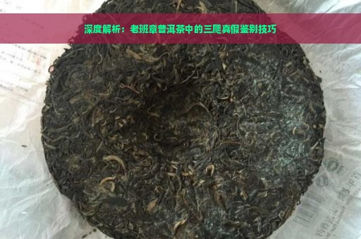 深度解析：老班章普洱茶中的三爬真假鉴别技巧