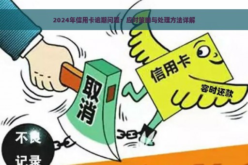 2024年信用卡逾期问题：应对策略与处理方法详解