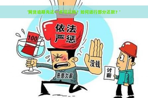 '网贷逾期先还一点可以吗？如何进行部分还款？'