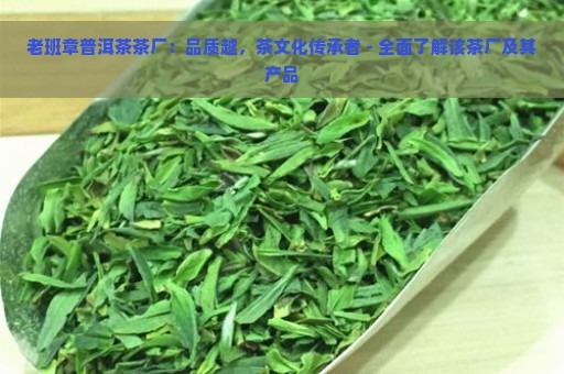 老班章普洱茶茶厂：品质越，茶文化传承者 - 全面了解该茶厂及其产品