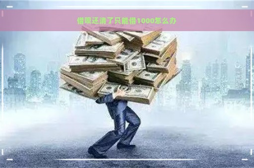 借呗还清了只能借1000怎么办