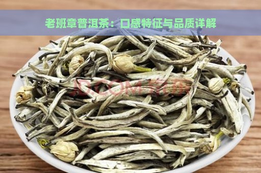 老班章普洱茶：口感特征与品质详解