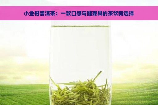 小金柑普洱茶：一款口感与健兼具的茶饮新选择