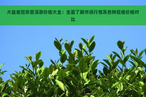 大益老班章普洱茶价格大全：全面了解市场行情及各种规格价格对比