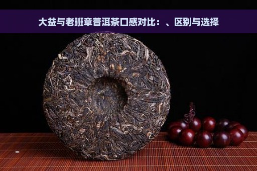 大益与老班章普洱茶口感对比：、区别与选择