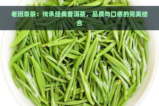 老班章茶：传承经典普洱茶，品质与口感的完美结合