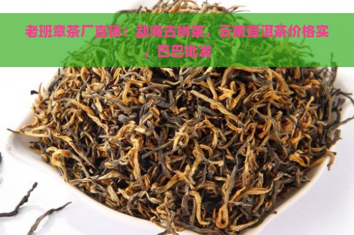 老班章茶厂直销：勐海古树茶，云南普洱茶价格实，巴巴批发