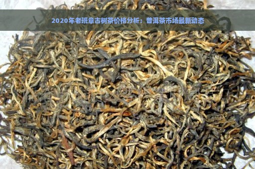 2020年老班章古树茶价格分析：普洱茶市场最新动态