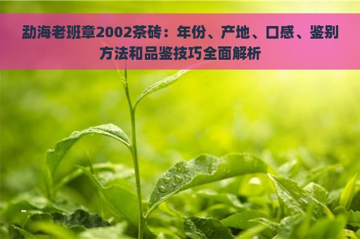 勐海老班章2002茶砖：年份、产地、口感、鉴别方法和品鉴技巧全面解析