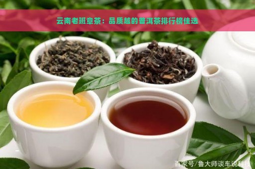 云南老班章茶：品质越的普洱茶排行榜佳选