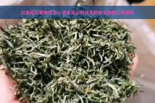 红金福山野老班章：源自深山的纯正韵味与独特口感探索