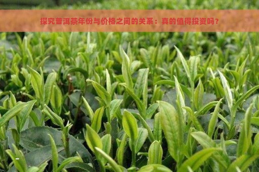 探究普洱茶年份与价格之间的关系：真的值得投资吗？