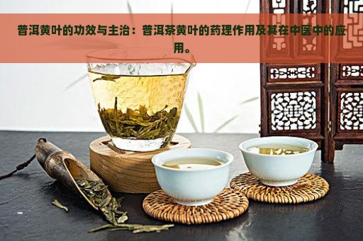 普洱黄叶的功效与主治：普洱茶黄叶的药理作用及其在中医中的应用。