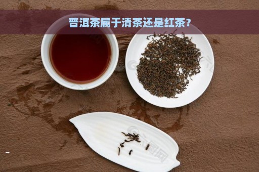 普洱茶属于清茶还是红茶？