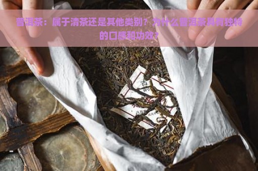 普洱茶：属于清茶还是其他类别？为什么普洱茶具有独特的口感和功效？