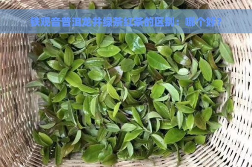 铁观音普洱龙井绿茶红茶的区别：哪个好？