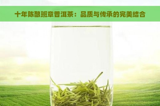 十年陈酿班章普洱茶：品质与传承的完美结合