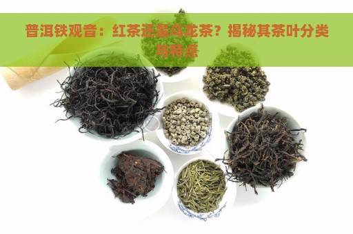 普洱铁观音：红茶还是乌龙茶？揭秘其茶叶分类与特点