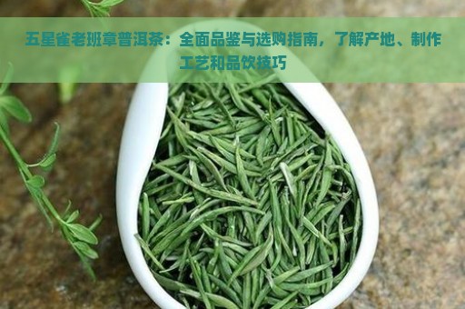 五星雀老班章普洱茶：全面品鉴与选购指南，了解产地、制作工艺和品饮技巧