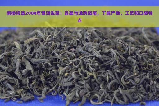 南桥班章2004年普洱生茶：品鉴与选购指南，了解产地、工艺和口感特点