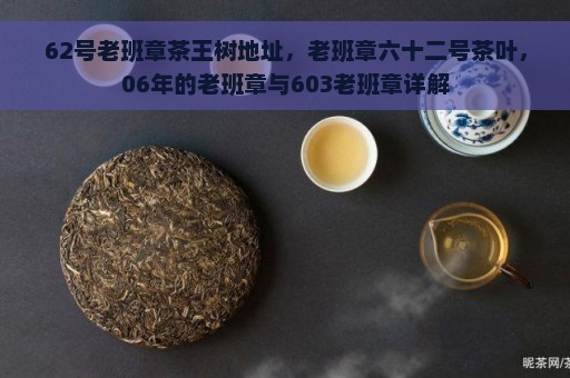 62号老班章茶王树地址，老班章六十二号茶叶，06年的老班章与603老班章详解