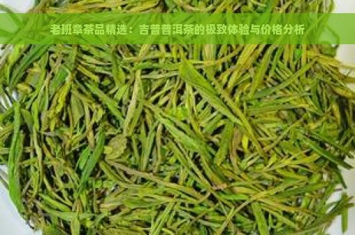 老班章茶品精选：吉普普洱茶的极致体验与价格分析