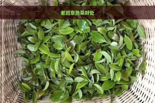 老班章熟茶好处