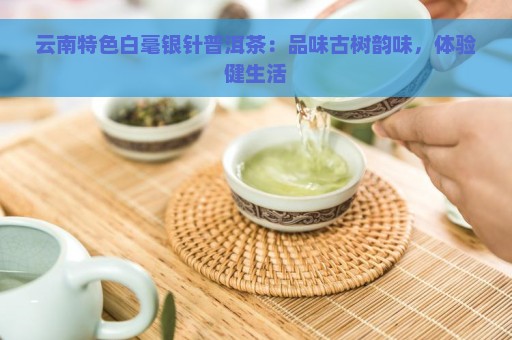 云南特色白毫银针普洱茶：品味古树韵味，体验健生活