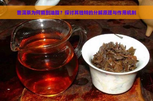 普洱茶为何能刮油脂？探讨其独特的分解原理与作用机制