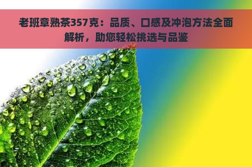 老班章熟茶357克：品质、口感及冲泡方法全面解析，助您轻松挑选与品鉴