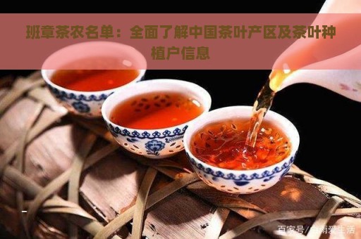 班章茶农名单：全面了解中国茶叶产区及茶叶种植户信息