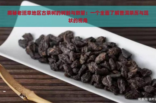 揭秘老班章地区古茶树的树龄与数量：一个全面了解普洱茶历与现状的视角