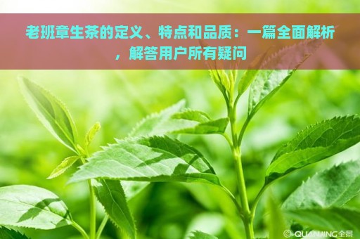 老班章生茶的定义、特点和品质：一篇全面解析，解答用户所有疑问