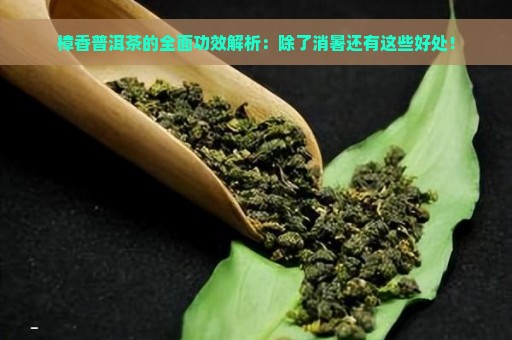 樟香普洱茶的全面功效解析：除了消暑还有这些好处！