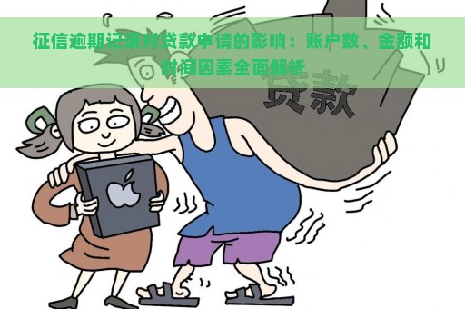 征信逾期记录对贷款申请的影响：账户数、金额和时间因素全面解析