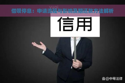 借呗停息：申请流程与影响及期还款方法解析