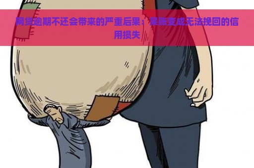 网贷逾期不还会带来的严重后果：呆账变成无法挽回的信用损失