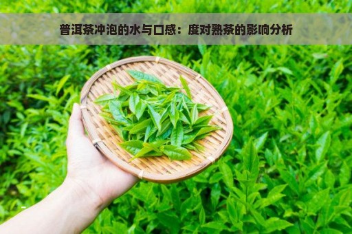 普洱茶冲泡的水与口感：度对熟茶的影响分析