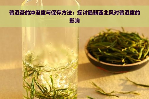 普洱茶的冲泡度与保存方法：探讨最弱西北风对普洱度的影响