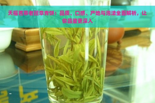 天福茗茶老班章青饼：品质、口感、产地与泡法全面解析，让你品鉴更深入