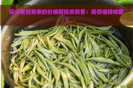 探究老班章茶的价值和投资前景：是否值得收藏？