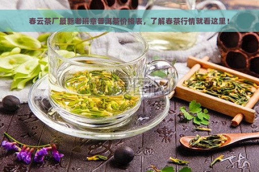 春云茶厂最新老班章普洱茶价格表，了解春茶行情就看这里！