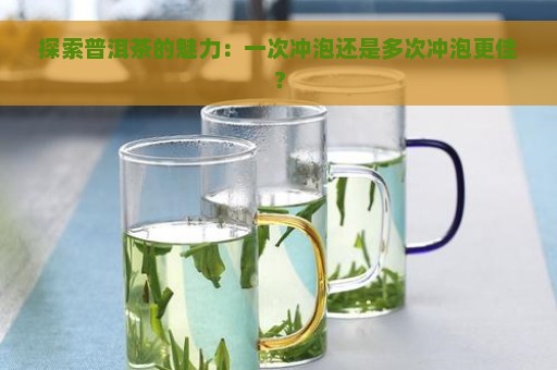 探索普洱茶的魅力：一次冲泡还是多次冲泡更佳？