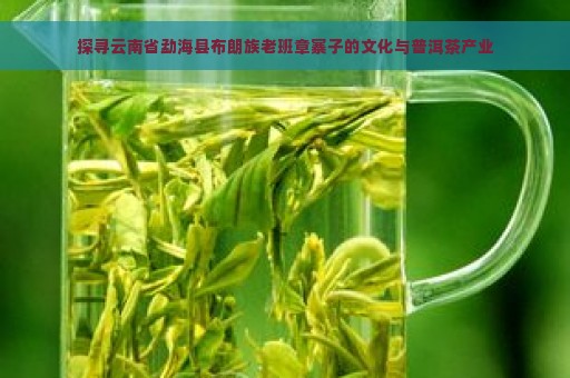 探寻云南省勐海县布朗族老班章寨子的文化与普洱茶产业